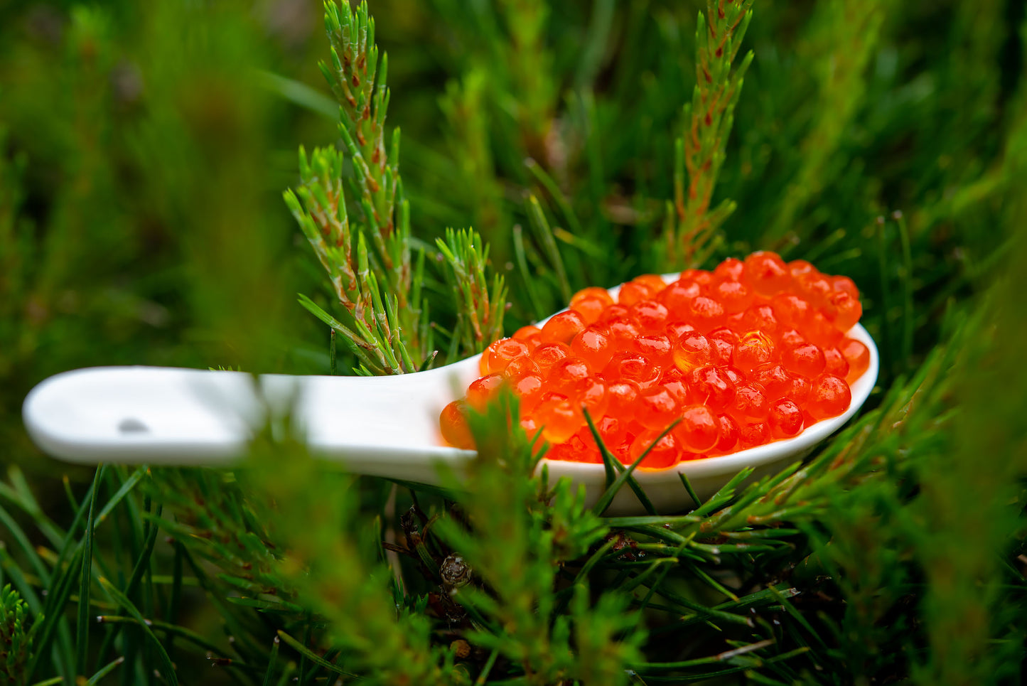 Salmon Trout Caviar, 400g